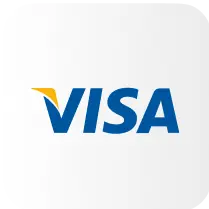 Visa logo image